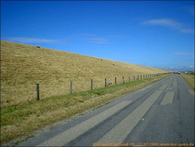 06-nordsee-026.jpg