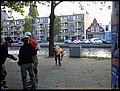 02-fns-004.jpg
