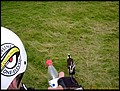 04-deich-027.jpg