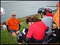 04-deich-041.jpg