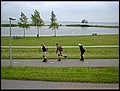 04-deich-056.jpg