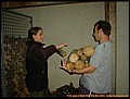 freitag-047.jpg