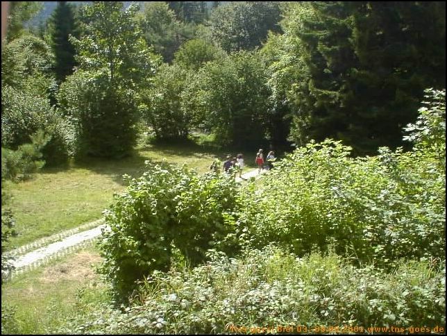 Sonntag-042.jpg