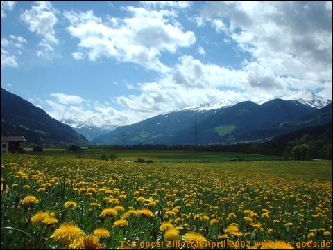 zillertal-054.jpg