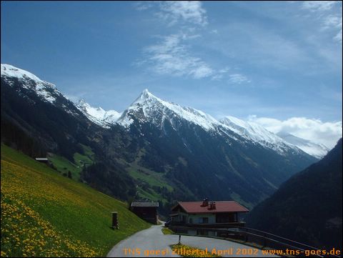 zillertal-099.jpg