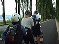 bodensee-02-018.jpg