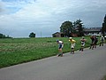 bodensee-03-021.jpg