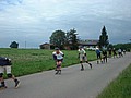 bodensee-03-025.jpg