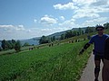 bodensee-04-046.jpg