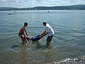 bodensee-04-106.jpg