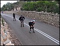 mallorca-01-11-2004-204.jpg