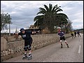 mallorca-01-11-2004-266.jpg