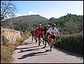 mallorca-02-11-2004-054.jpg