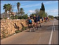 mallorca-03-11-2004-026.jpg