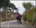 mallorca-04-11-2004-202.jpg