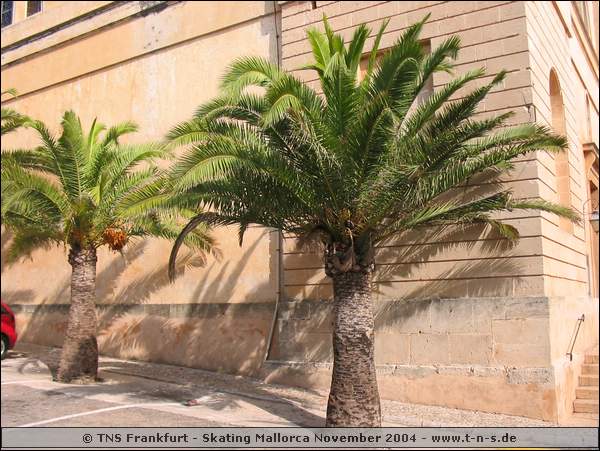 mallorca-2004-bilder-050.jpg