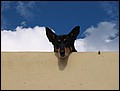 mallorca-2004-bilder-005.jpg