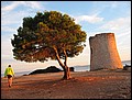 mallorca-2004-bilder-029.jpg