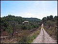 mallorca-2004-bilder-034.jpg