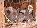 mallorca-2004-bilder-043.jpg