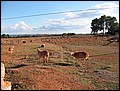 mallorca-2004-bilder-054.jpg