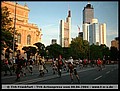 tns-2004-330.jpg