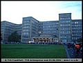 tns-2004-343.jpg