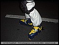 tns-2004-395.jpg