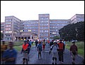 tns-14-06-05-354.jpg