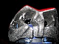 tns-04-10-05-241.jpg