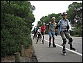 mallorca-311005-061.jpg