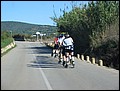 mallorca-011105-121.jpg