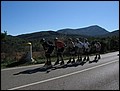 mallorca-011105-239.jpg