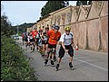 mallorca-011105-363.jpg