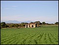 mallorca-021105-293.jpg