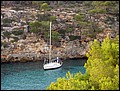 mallorca-031105-428.jpg