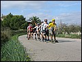 mallorca-041105-157.jpg