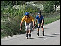 mallorca-041105-198.jpg