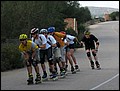 mallorca-041105-245.jpg