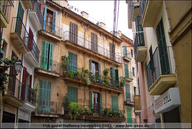 mallorca-051105-131.jpg