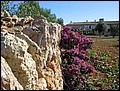 mallorca-011105-163.jpg