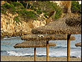 mallorca-011105-473.jpg