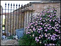 mallorca-021105-096.jpg