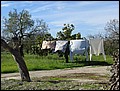 mallorca-021105-106.jpg