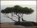 mallorca-031105-431.jpg