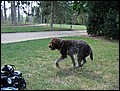 paris-05-sonntag-193.jpg