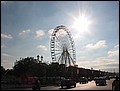 tns-goes-paris-329.jpg