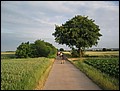 tour-wi-ffm-2006-010.jpg