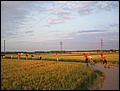tour-wi-ffm-2006-030.jpg