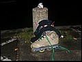 tns-22-08-06-317.jpg